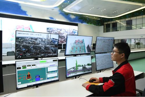 面向數(shù)字化未來(lái)，打造化工百年老店的信息技術(shù)咨詢(xún)服務(wù)