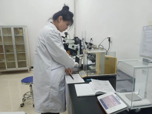 黑龍江省伊春市市場(chǎng)監(jiān)管局舉辦2023年世界計(jì)量日信息技術(shù)咨詢(xún)服務(wù)活動(dòng)